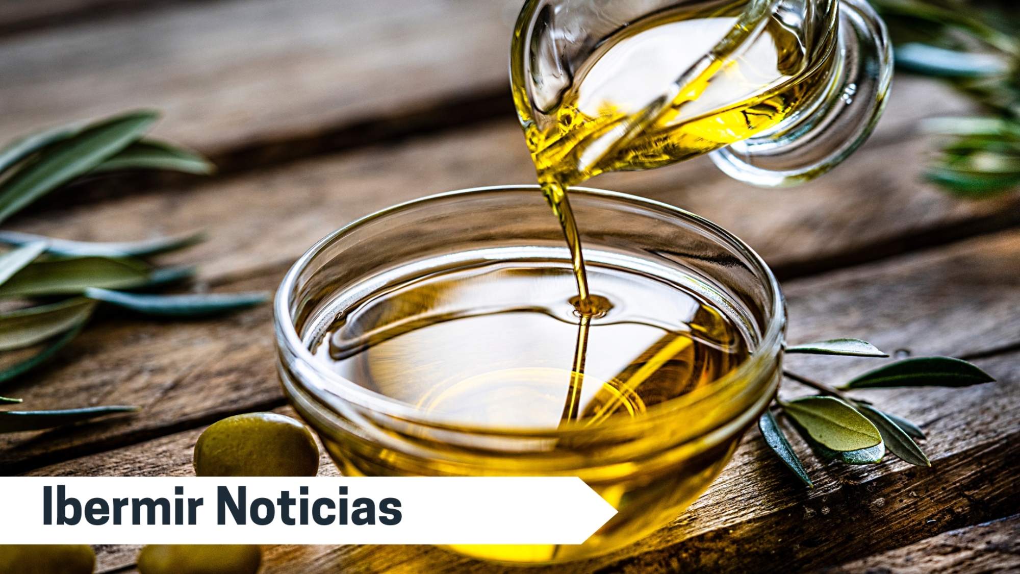 Noticias Ibermir (8)